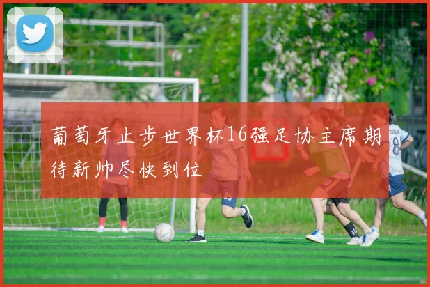 葡萄牙止步世界杯16强足协主席期待新帅尽快到位