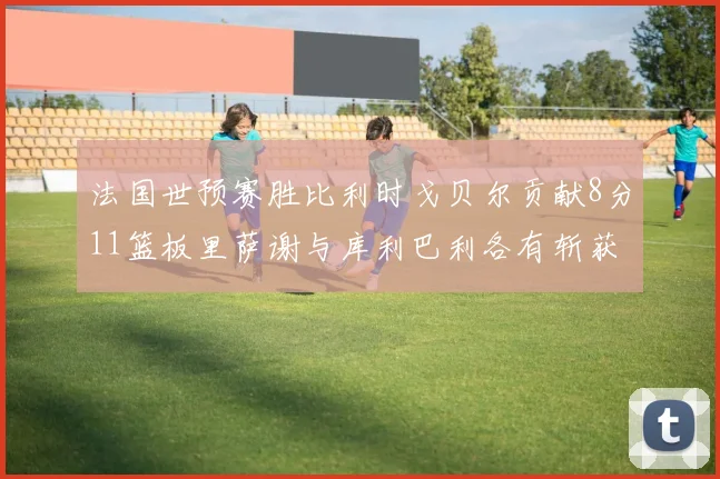 法国世预赛胜比利时戈贝尔贡献8分11篮板里萨谢与库利巴利各有斩获