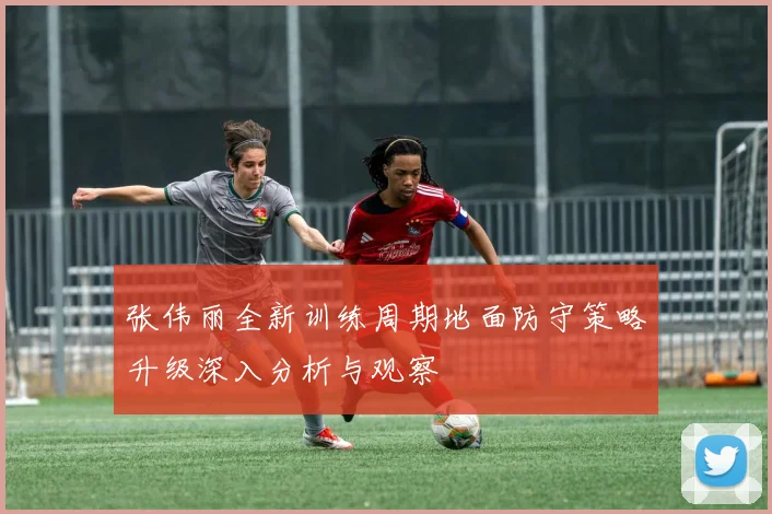 张伟丽全新训练周期地面防守策略升级深入分析与观察