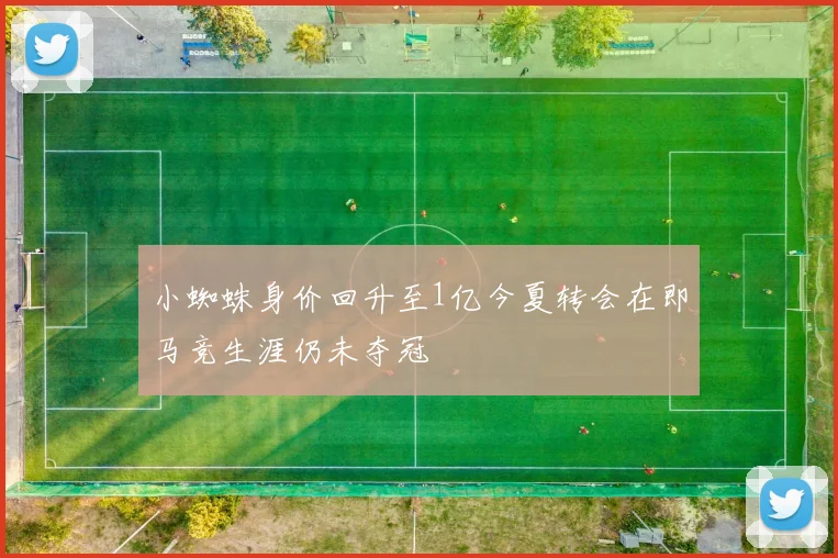 小蜘蛛身价回升至1亿今夏转会在即马竞生涯仍未夺冠